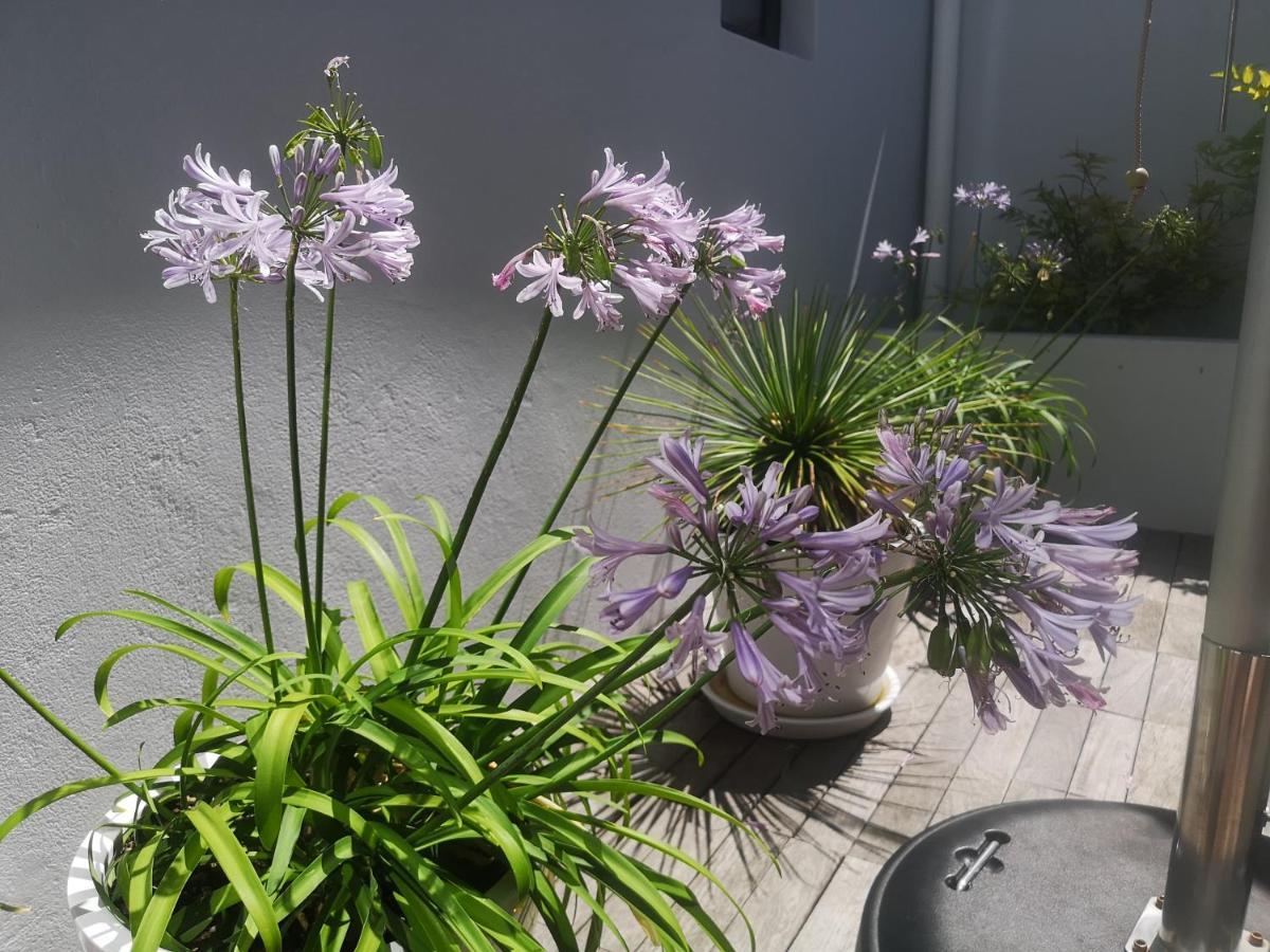 Cape White Villa Crawley エクステリア 写真